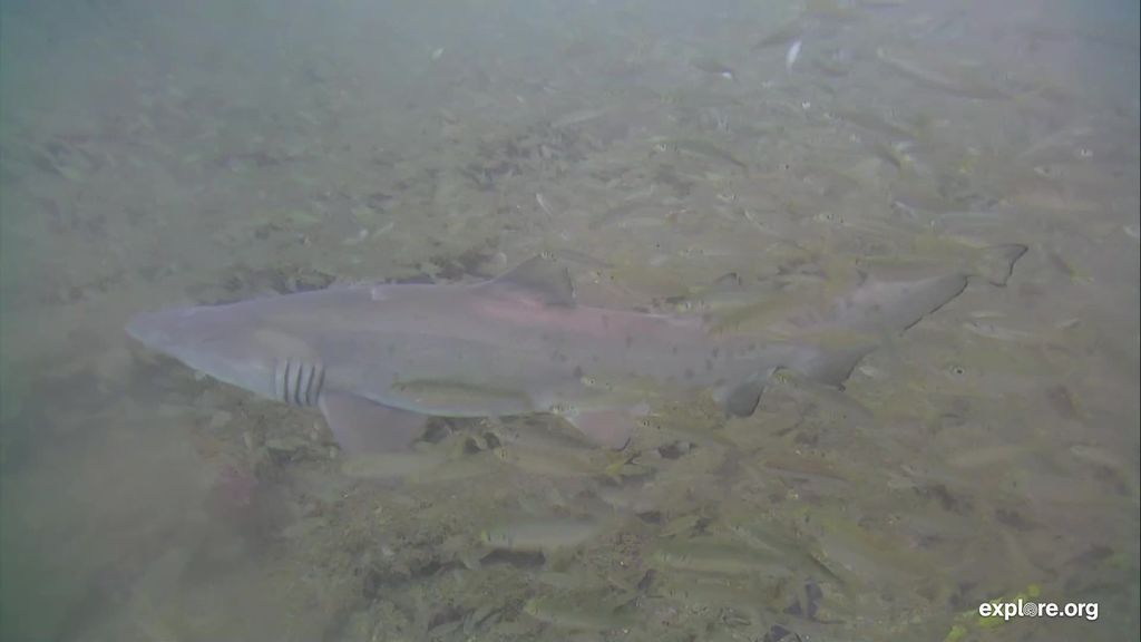 6fd1f861-5566-4aba-90be-7f305487f136