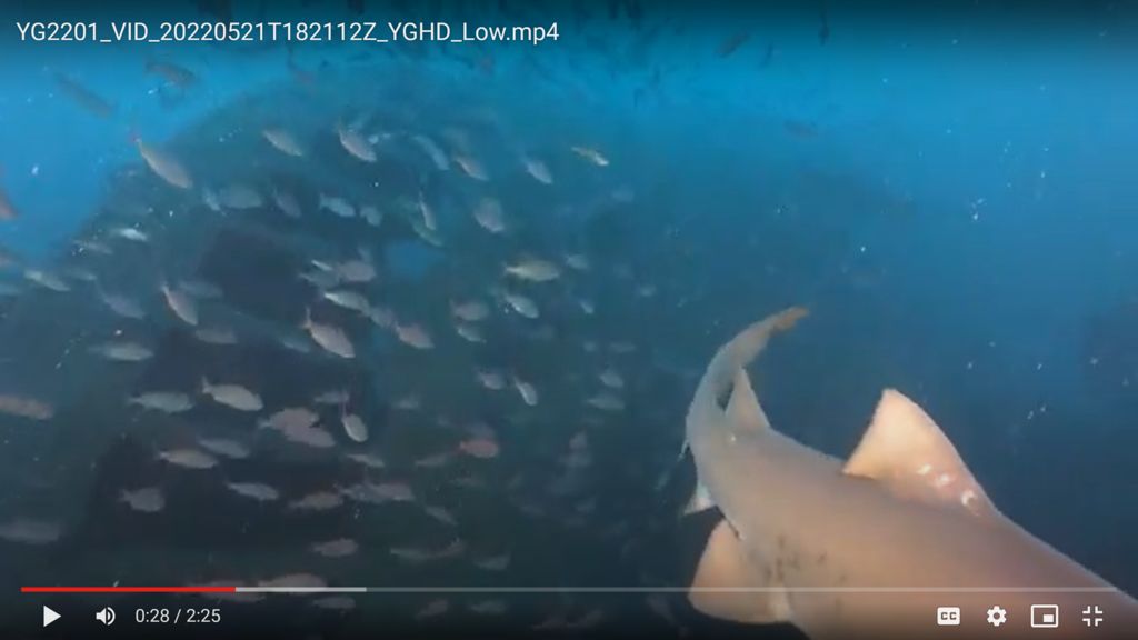 793a03ba-126e-49d4-a7f1-af215349ab48