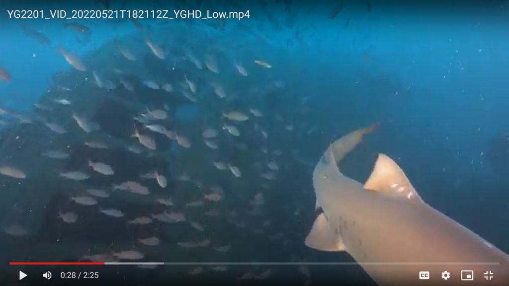 793a03ba-126e-49d4-a7f1-af215349ab48