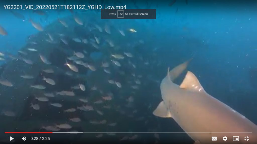 793a03ba-126e-49d4-a7f1-af215349ab48