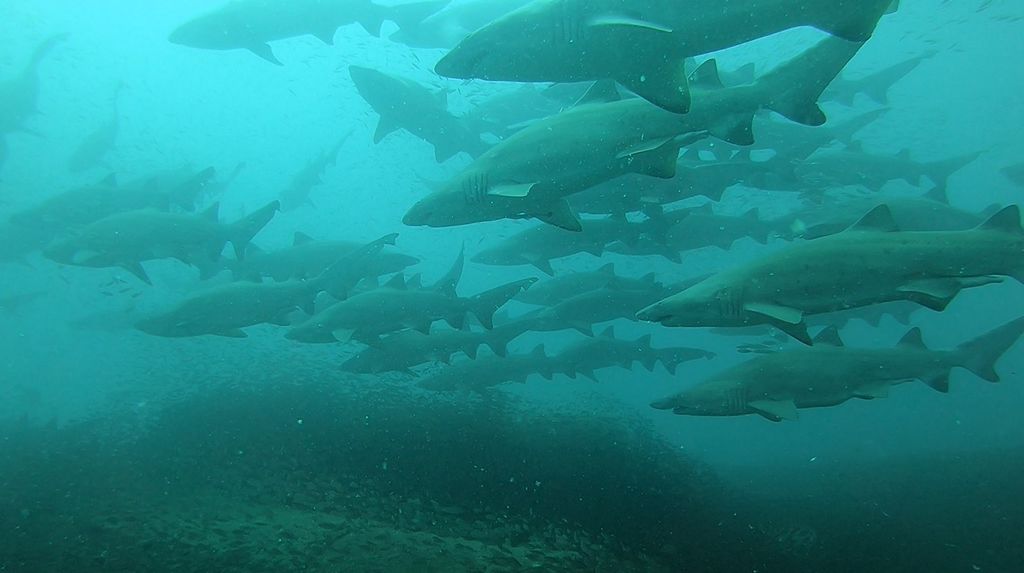 84a48bad-4fb2-4c28-a5cf-4e5be7c8ba12