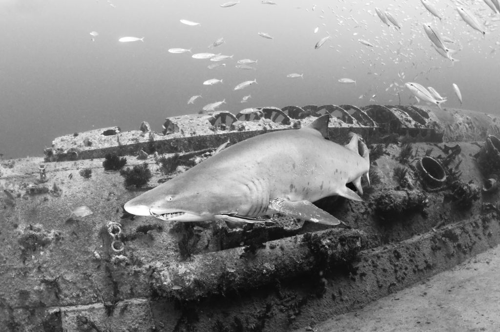 4a3eb5ff-2da3-4195-8f31-d93e00bb985b