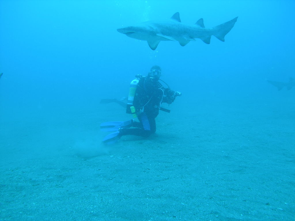 8b9c7e45-2e03-4673-91b9-5ac3cec9be22