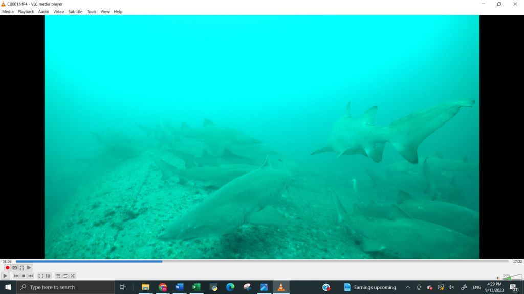 0ba20104-114a-46dc-a3ef-4684c33b3111