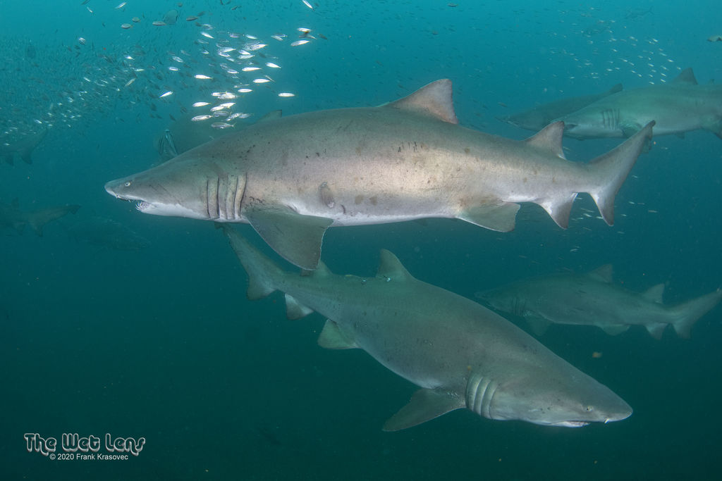 471be266-51ce-446a-8f59-d3b096047eee