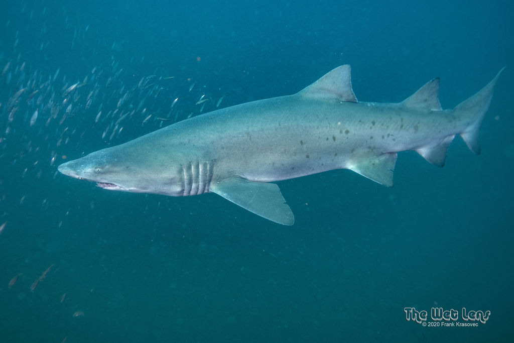 494aa8e8-fa57-4d5d-a08f-d3c11fc9c8d0