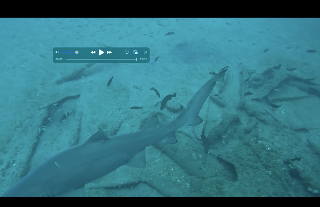 9fe1e8a1-e4ed-442d-9fde-cd27206f2a08