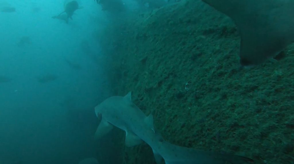 adfa3e0d-d318-4dcf-a362-dff99381db76