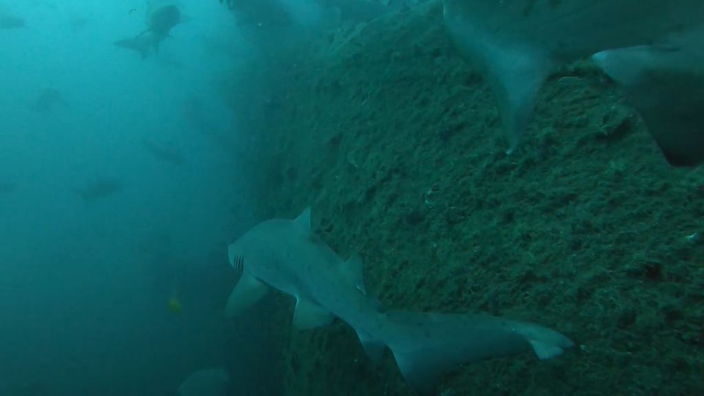 adfa3e0d-d318-4dcf-a362-dff99381db76