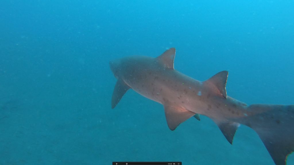 e9f71134-ef65-41a8-9962-2f0b51724c6b