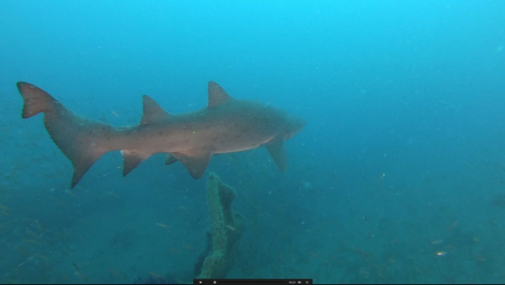 e9f71134-ef65-41a8-9962-2f0b51724c6b