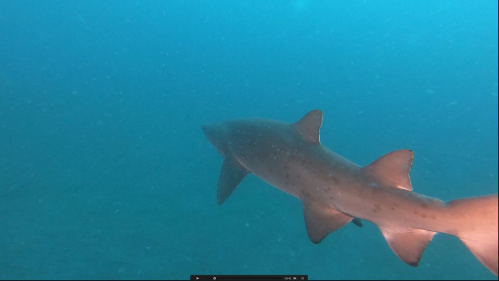 e9f71134-ef65-41a8-9962-2f0b51724c6b