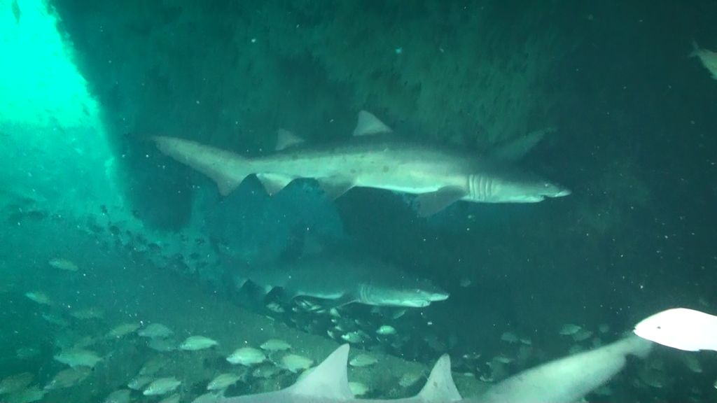 b49e5beb-9f20-4a6e-bb90-c477edc1818b