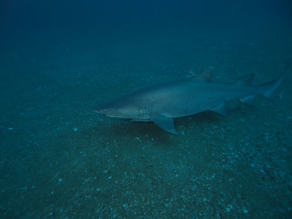 875d76ae-1958-443e-a804-eaa6349be6d7