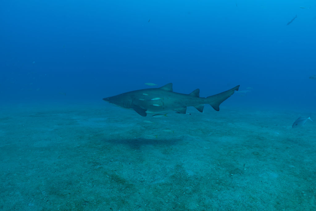 cbdb8172-ef74-4f4a-a27e-7e297b8ccea3