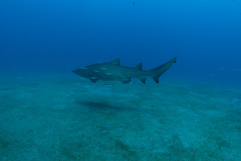 cbdb8172-ef74-4f4a-a27e-7e297b8ccea3