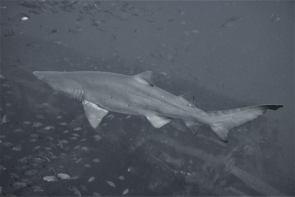 5aefb7c0-51c8-492c-aa87-e32b5cdfb5d0