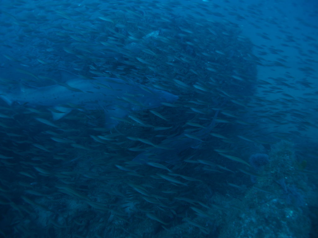 9432feb5-8ef3-48db-b408-4fe4bcc7bfe5