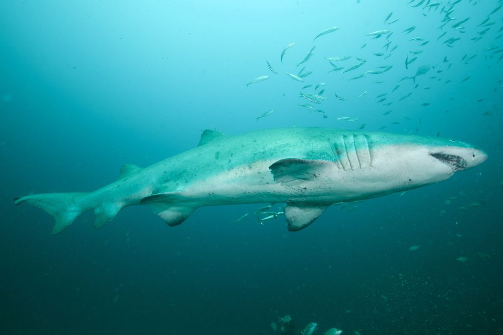 7b9df37a-5699-4f50-a820-4cb2b81eed87