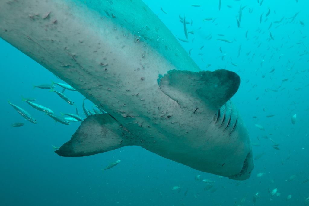 7b9df37a-5699-4f50-a820-4cb2b81eed87