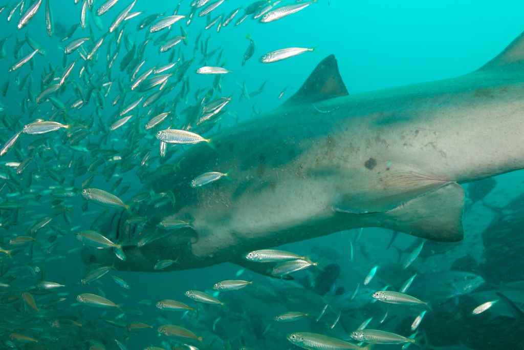 7b9df37a-5699-4f50-a820-4cb2b81eed87