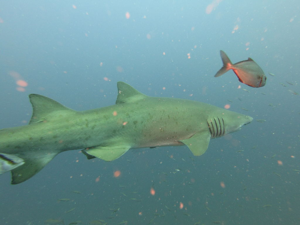 6472e3c1-18c0-43fa-82cd-9349d03474d0