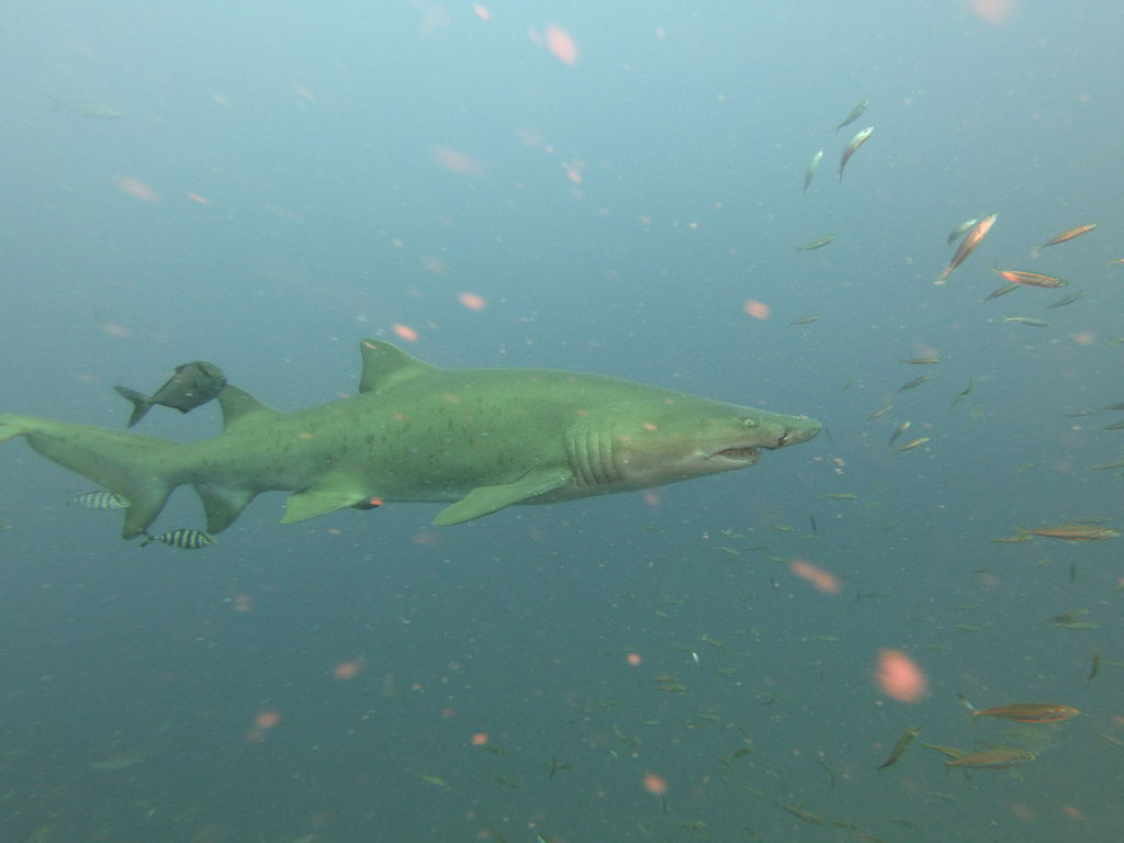 6472e3c1-18c0-43fa-82cd-9349d03474d0