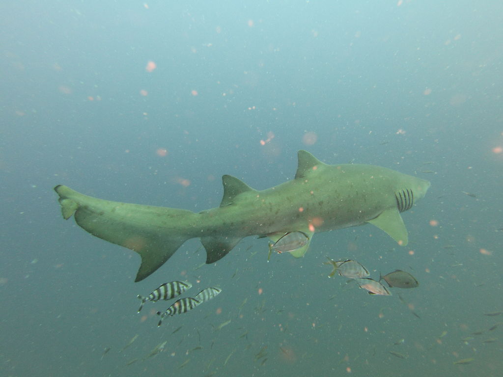 6472e3c1-18c0-43fa-82cd-9349d03474d0