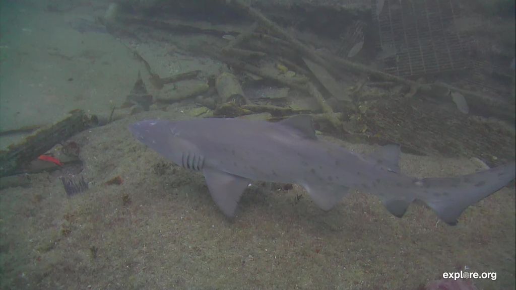 b469349e-d851-42dc-ab48-e4b78e32c823