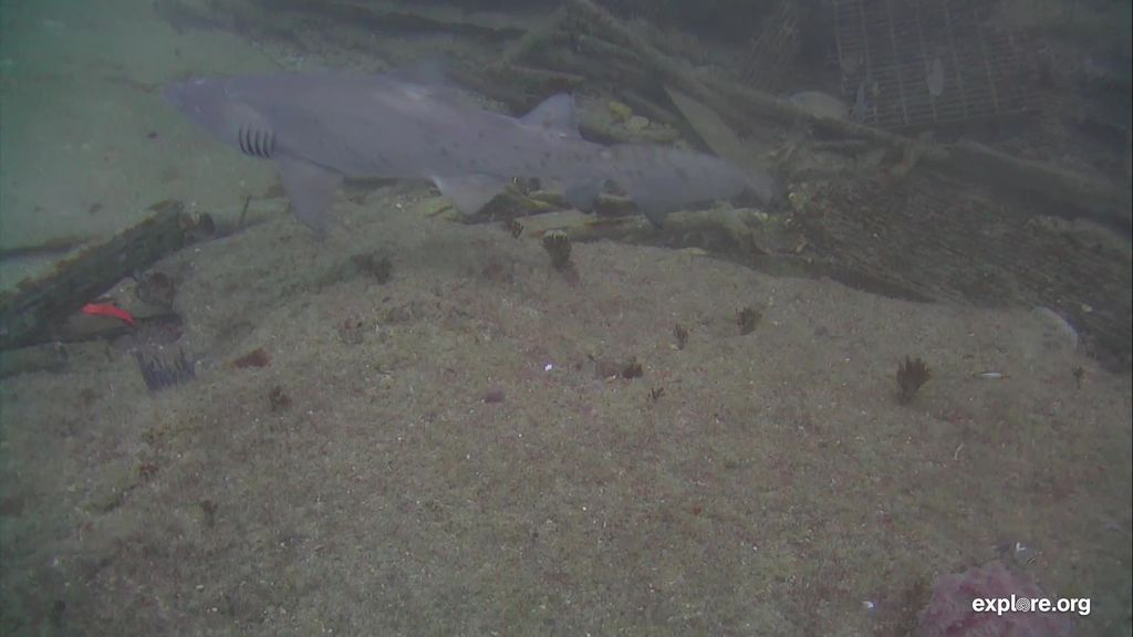 b469349e-d851-42dc-ab48-e4b78e32c823