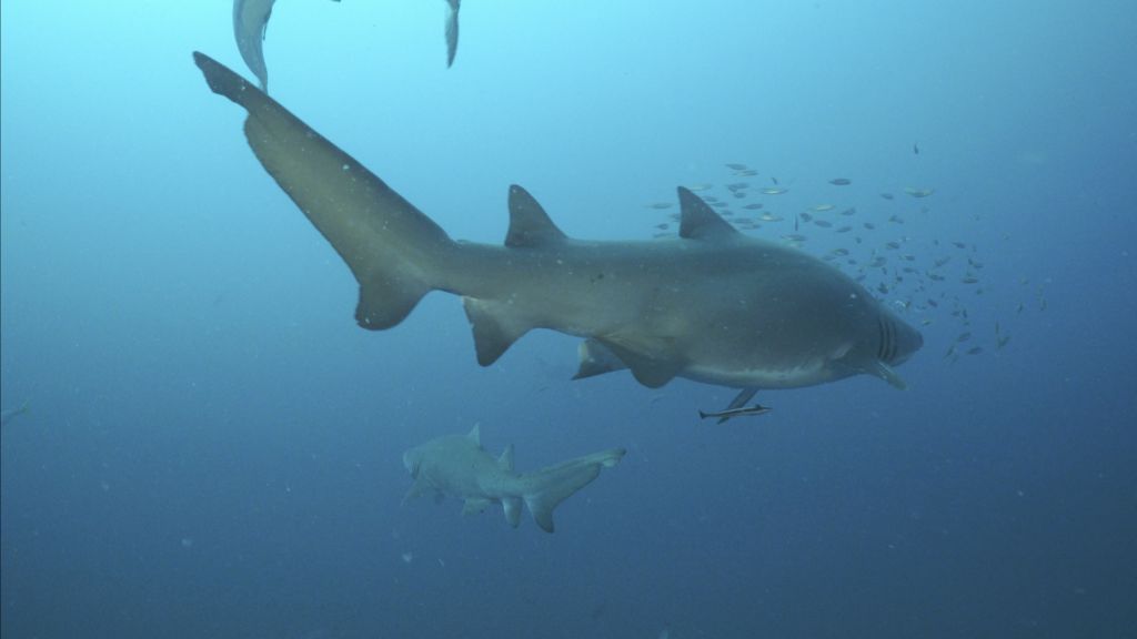 9485fa3f-798b-4994-9a20-c70b7a5c96e2