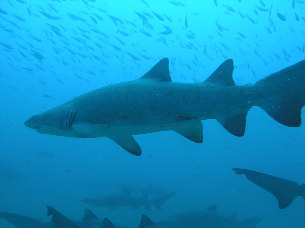 1b0f0228-4f8b-4202-80cc-6e18fa8b8329