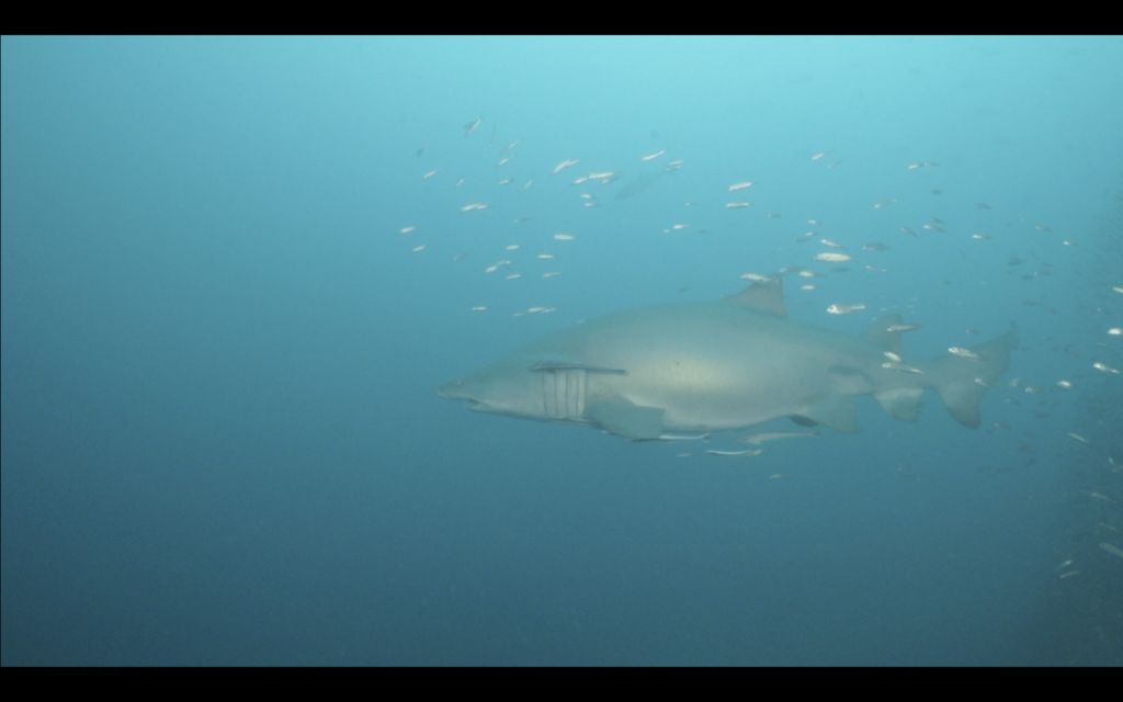 18b61610-c159-4e9e-8c61-71889b8f7f89