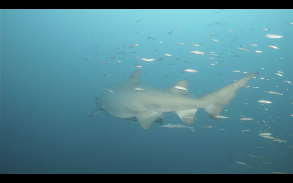 18b61610-c159-4e9e-8c61-71889b8f7f89