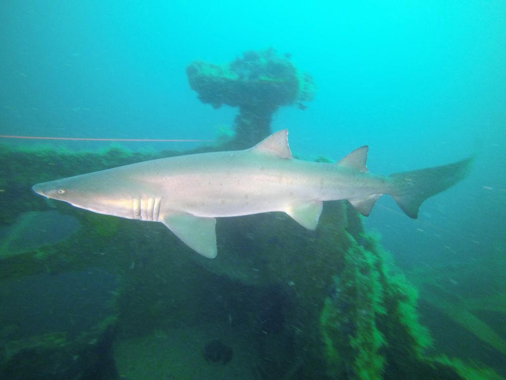 1863b64c-c8a6-4f16-b2ff-88e9da284562