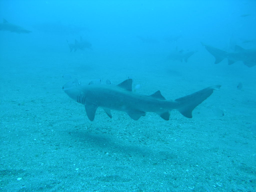 a136e9e6-3af8-47ec-8cfd-1bba98f8ce14