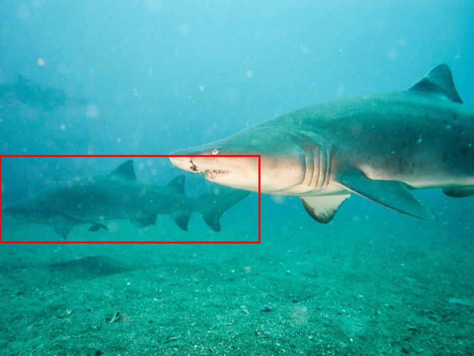 ad049566-cb33-4379-803a-1ede391e30ca