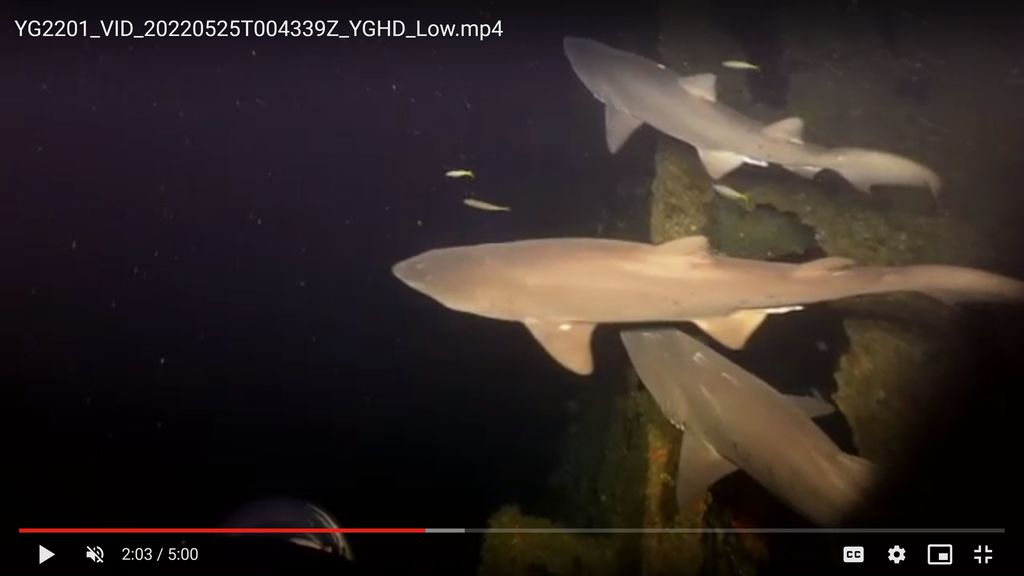 30acf82e-5b6b-43f8-aba0-e14685e418cc