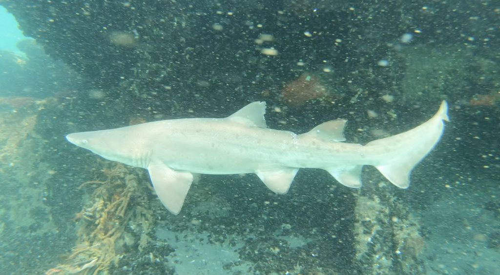 f4c05b15-0dfe-4023-aa90-79cc1eefa495