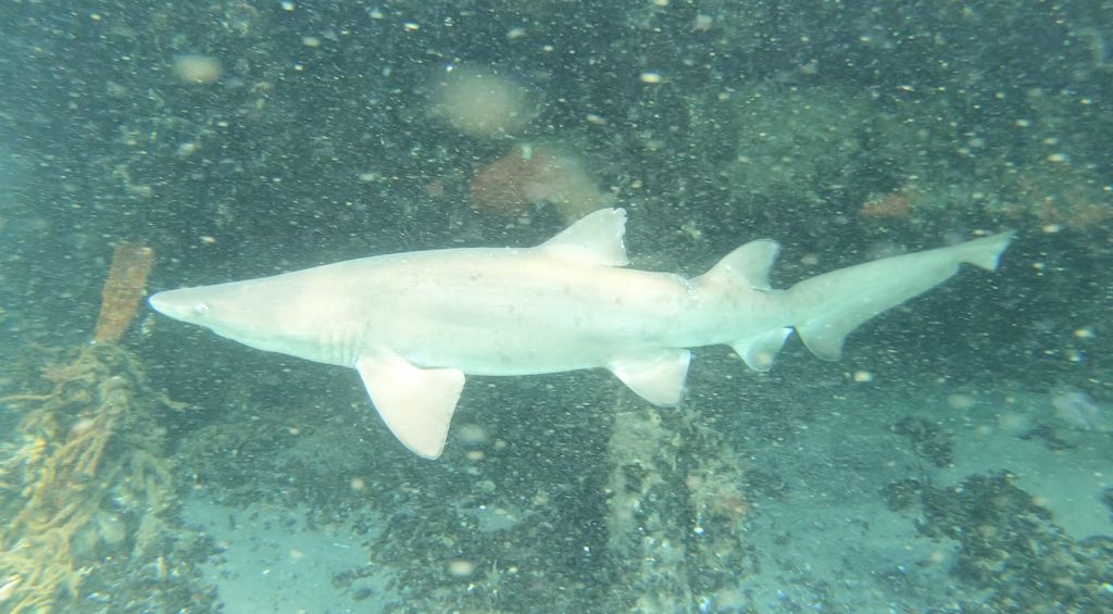 f4c05b15-0dfe-4023-aa90-79cc1eefa495