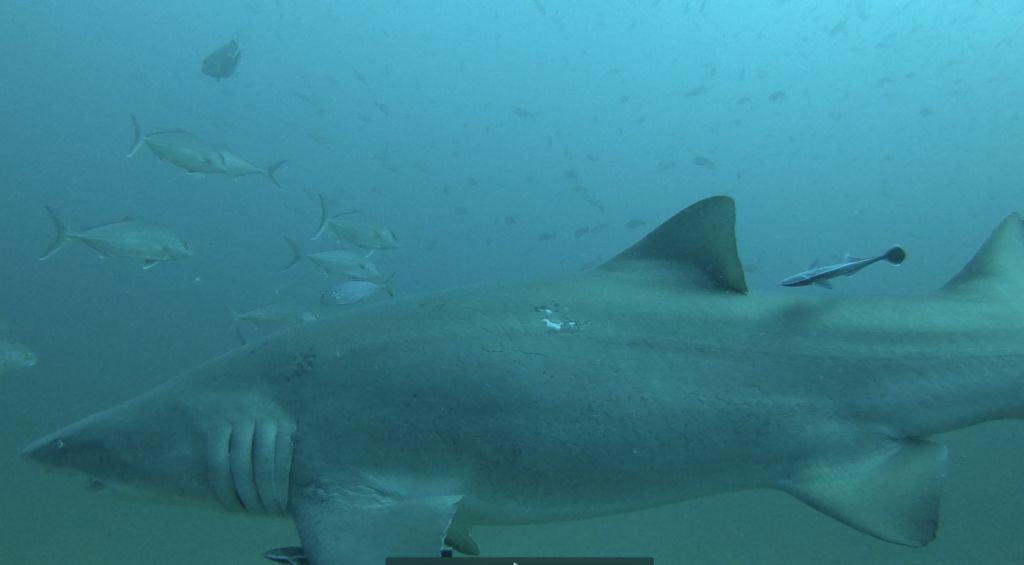 aa5bc6c9-6290-40b5-af87-c7814ec4e285