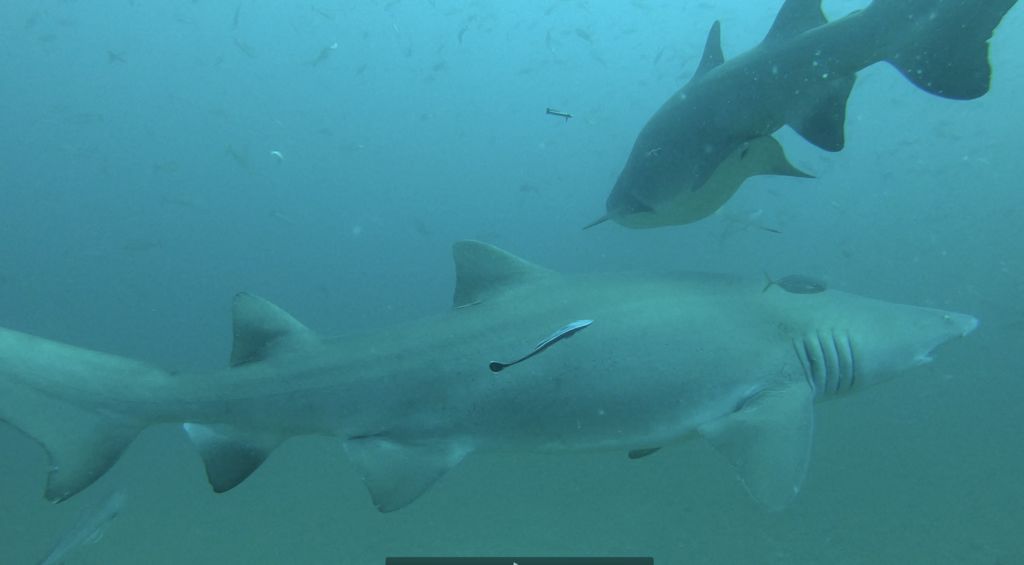 aa5bc6c9-6290-40b5-af87-c7814ec4e285