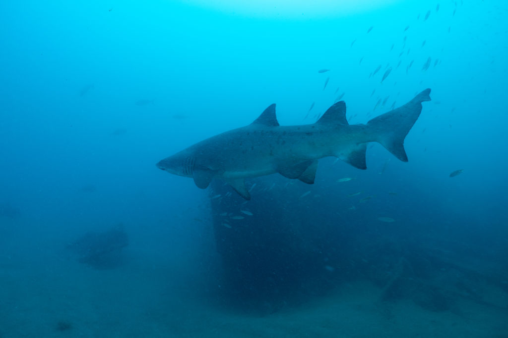 6068ef68-66f1-4adf-8403-e78ffd5c6c8c