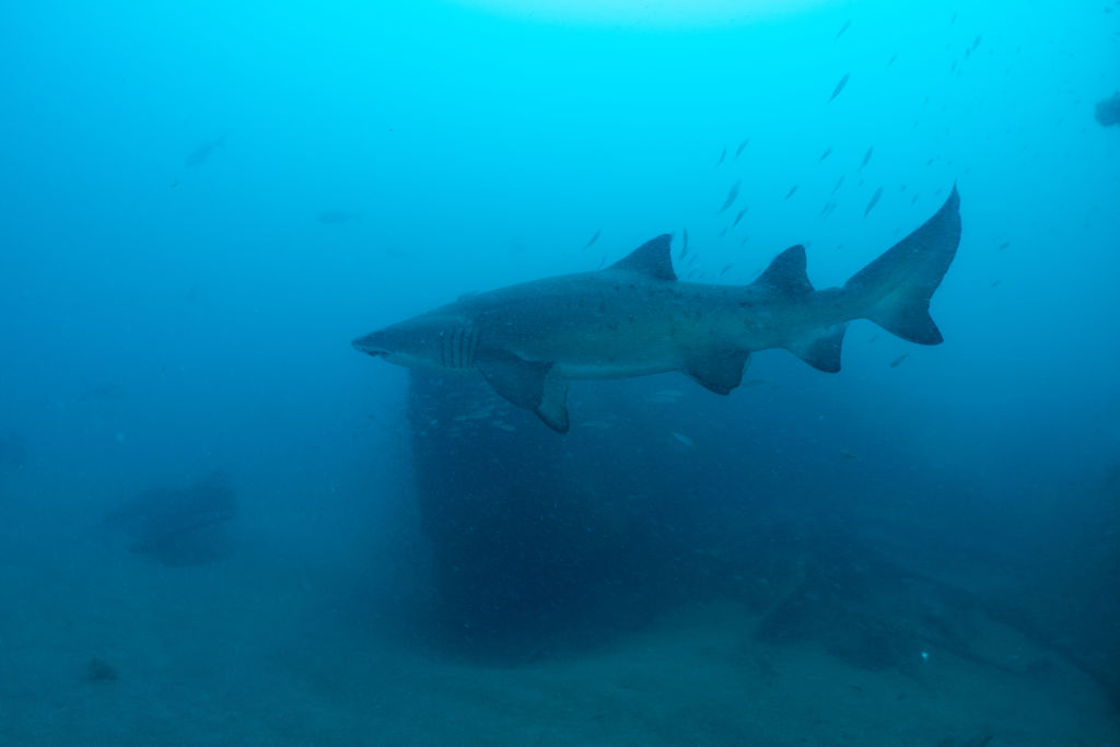 6068ef68-66f1-4adf-8403-e78ffd5c6c8c