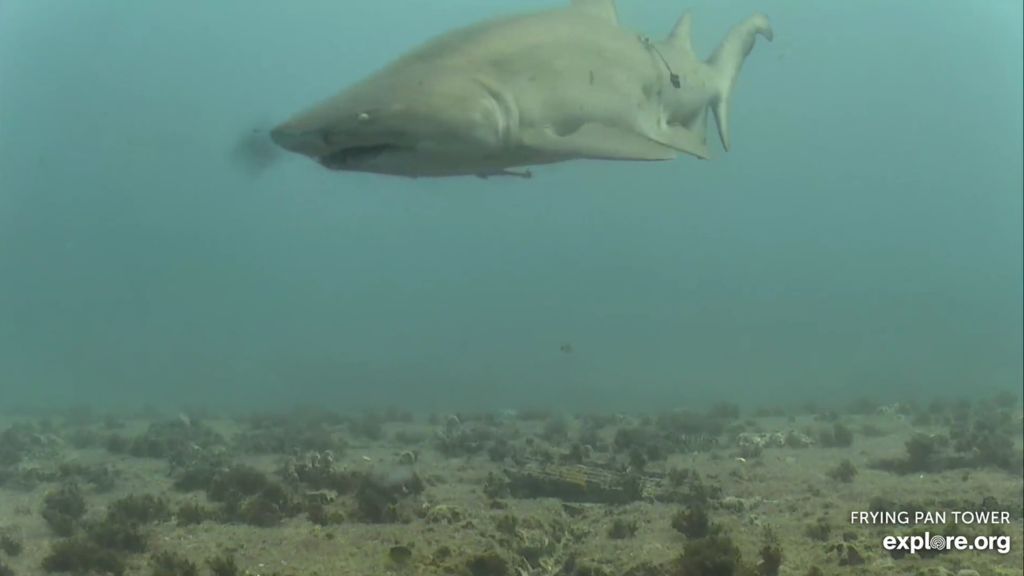 a4408b9b-cf05-4d7b-9dfc-043e81d67ab5