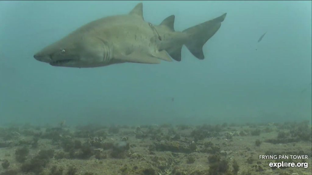 a4408b9b-cf05-4d7b-9dfc-043e81d67ab5