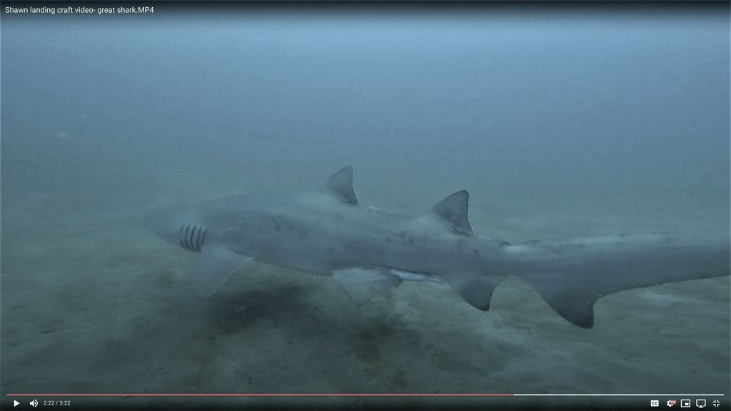 50018cbb-ab40-4205-941d-5559f6145b62