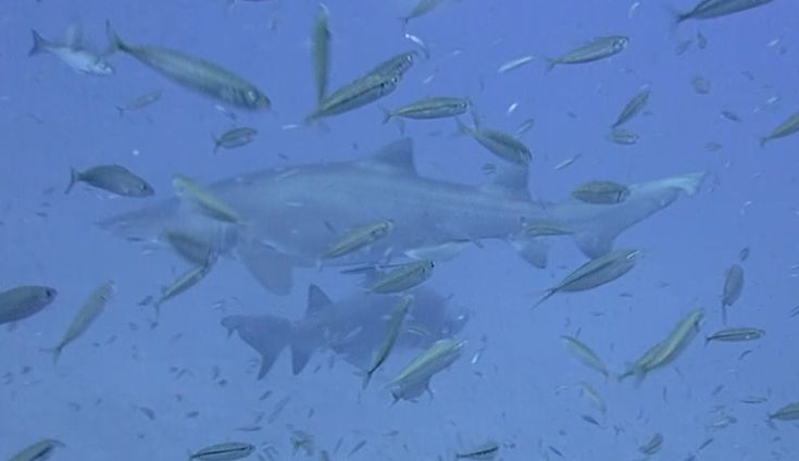 f5849df9-45b5-4fa7-9933-e967442ea170