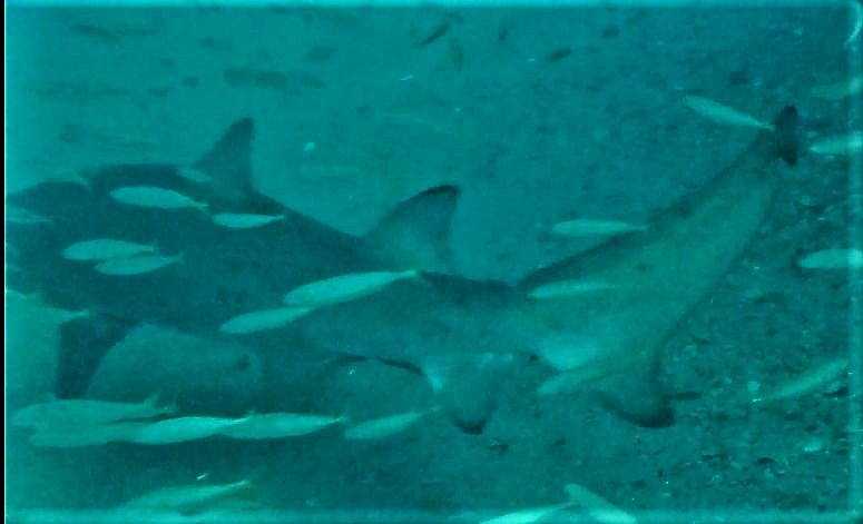 7e314f8e-0eb1-4883-beba-a5d484d808e2