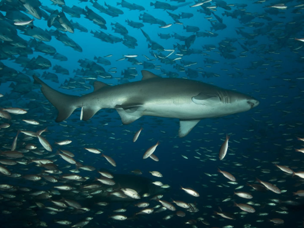 86c08a52-2f42-4cc2-b2c6-7980c94cfcd6